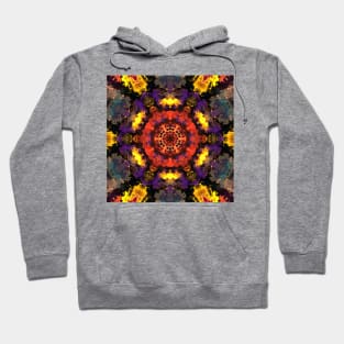 Psychedelic Kaleidoscope Yellow Red and Purple Hoodie